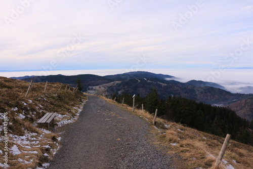 Blick vom Berg Belchen über den Hochschwarzwald	 photo