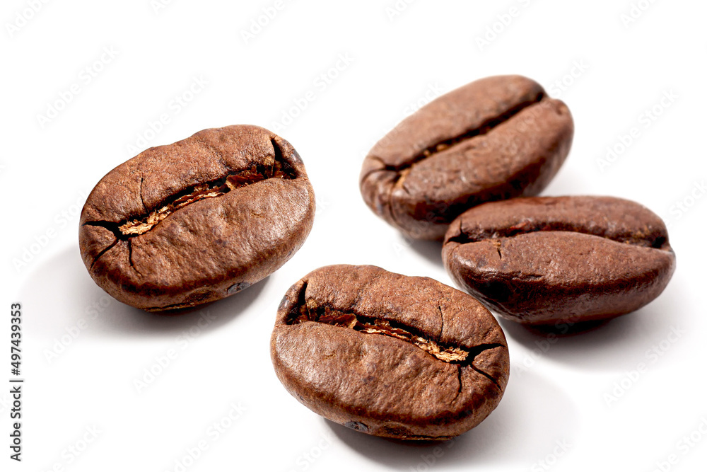 coffee beans isolated on white coffee beans isolated on white