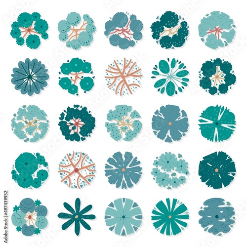 Hand drawn vector set of top view trees.