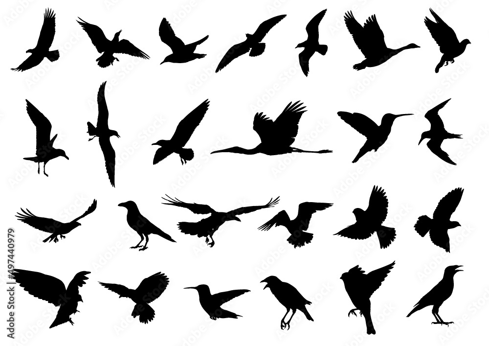 set of silhouettes of birds set of silhouettes of birds