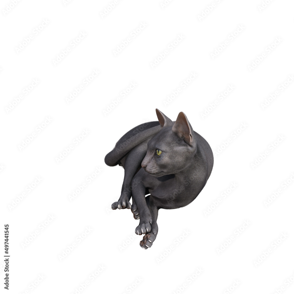 Fototapeta premium Sphynx cat isolated on white background. 3d rendering-illustration.