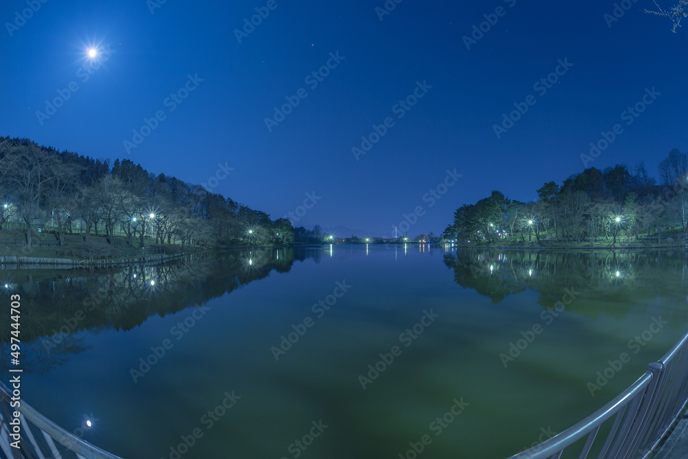 Fototapeta premium 高松の池（夜景）