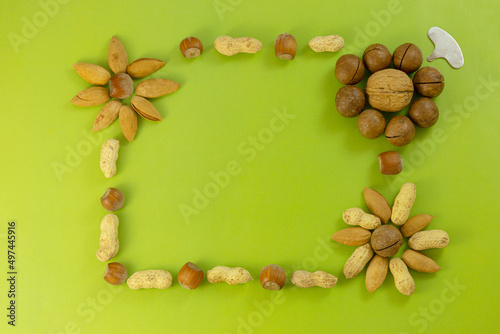 Walnuts, hazelnuts, almonds, macadamia, peanuts, laid out in a rectangular frame on a light green background