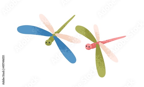 Cute dragonflies couple flying. Sweet spring insects in air. Fairytale baby characters with wings in flight. Childish kids flat vector illustration isolated on white background