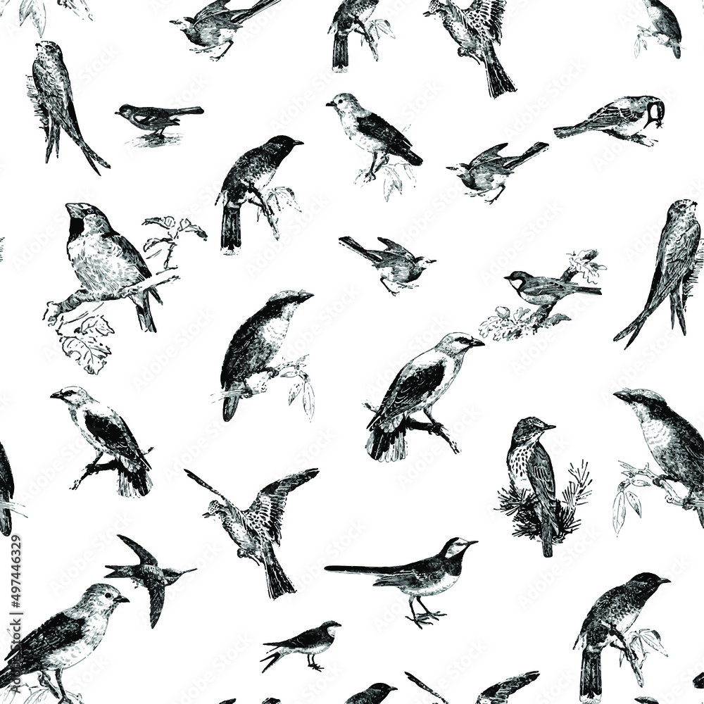 Fototapeta premium Seamless pattern with floral romantic elements, for your design. Endless texture, sketch humming-birds, watercolor flowers, isolated Vector illustration.