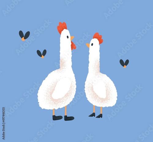Cute chicken and cock, love couple. Funny kids characters, hen and rooster. Romantic farm birds. Childish adorable chicks. Fairy tale animals from nursery fiction. Childrens flat vector illustration