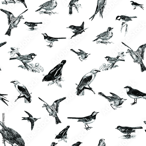 Seamless pattern with floral romantic elements, for your design. Endless texture, sketch humming-birds, watercolor flowers, isolated Vector illustration.
