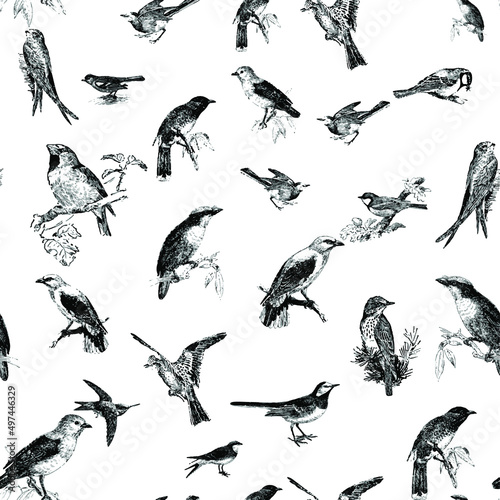 Seamless pattern with floral romantic elements, for your design. Endless texture, sketch humming-birds, watercolor flowers, isolated Vector illustration.