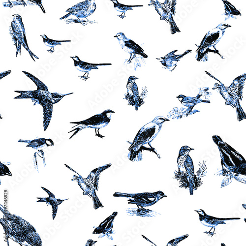 Seamless pattern with floral romantic elements, for your design. Endless texture, sketch humming-birds, watercolor flowers, isolated Vector illustration.