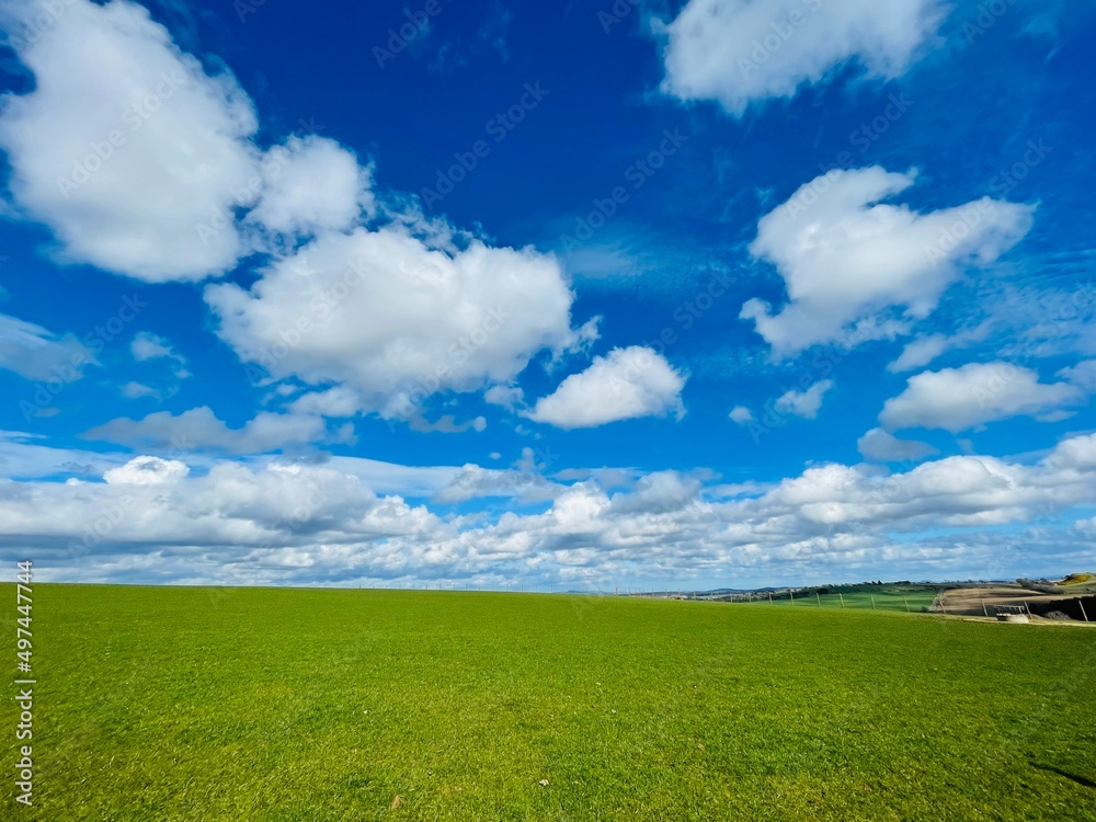 green field and blue sky