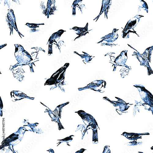 Seamless pattern with floral romantic elements, for your design. Endless texture, sketch humming-birds, watercolor flowers, isolated Vector illustration.

