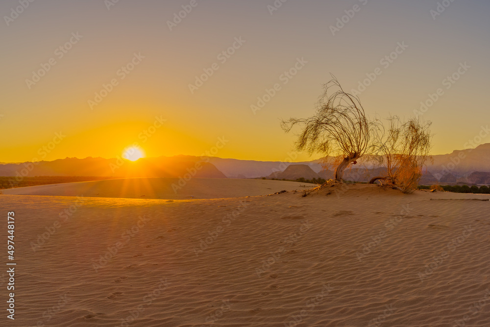 Sunset view of the Samar sand dunes, Arava desert