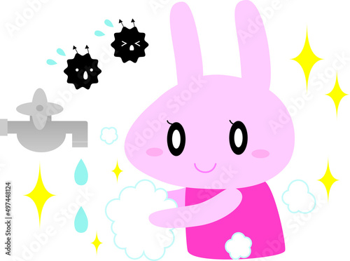 手を洗ううさぎ