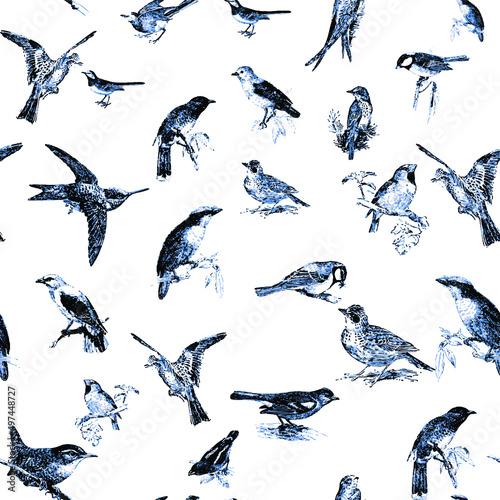 Seamless pattern with floral romantic elements, for your design. Endless texture, sketch humming-birds, watercolor flowers, isolated Vector illustration.
