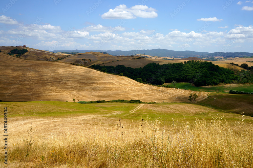 Fototapeta premium Rural landscape in Val d Orcia, Tuscany, Italy