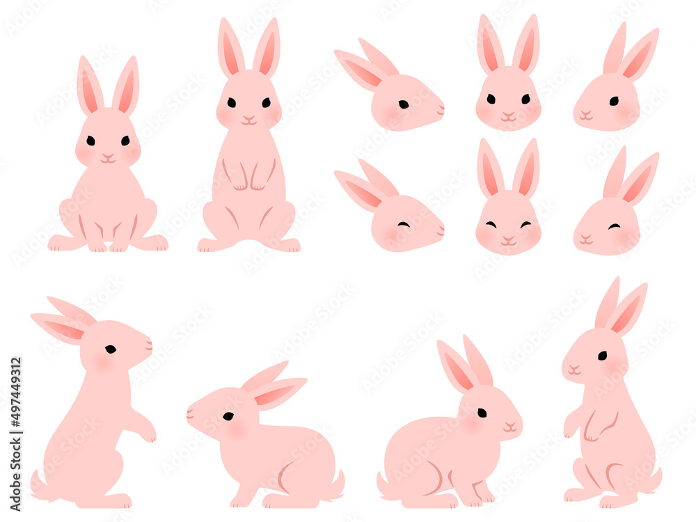 ピンクのウサギのイラストセット
