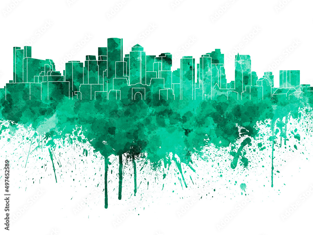 Obraz premium Boston skyline in green watercolor on white background