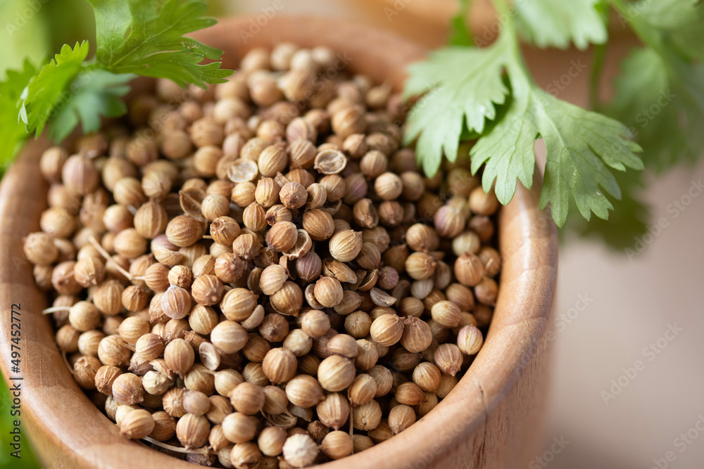 Coriander seeds in a wooden cup copy space Coriander seeds in a wooden cup copy space