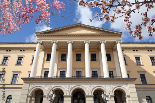 Photography Oslo Royal Palace in Norway. Spring time cherry blossoms.