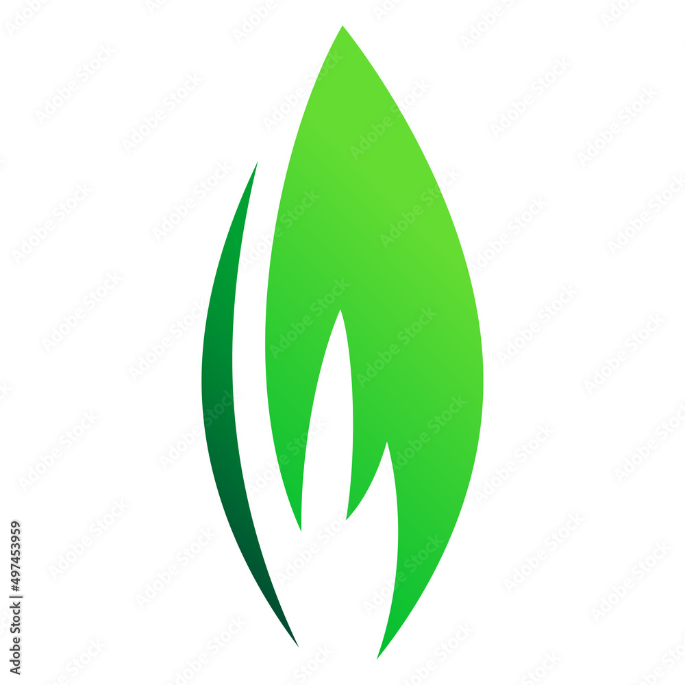 Green leaves set icons, various vector shapes of leaf of trees and plants, elements for eco and bio logos Green leaves set icons, various vector shapes of leaf of trees and plants, elements for eco and bio logos