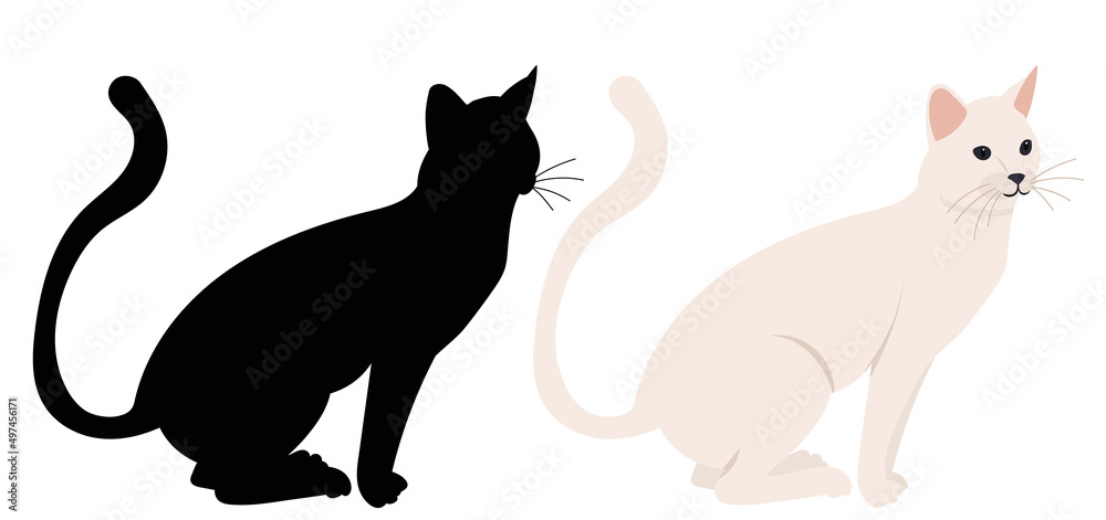 cat flat design, silhouette, isolated