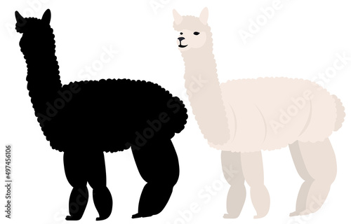 lama flat design, silhouette, isolated, vector