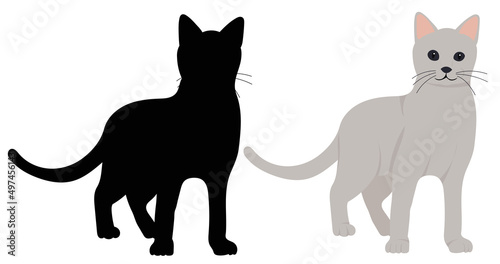 cat flat design, silhouette, isolated, vector