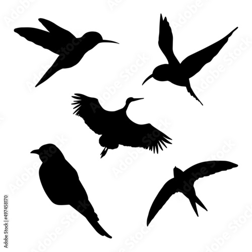 set of birds shadows icon