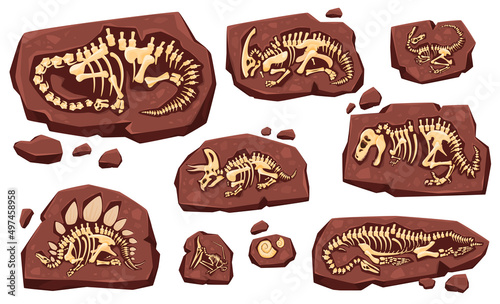 Layer of earth with fossil bones. Archaeological excavations of dinosaur fossils. Studies of ancient animals. Vector illustration on a white background.