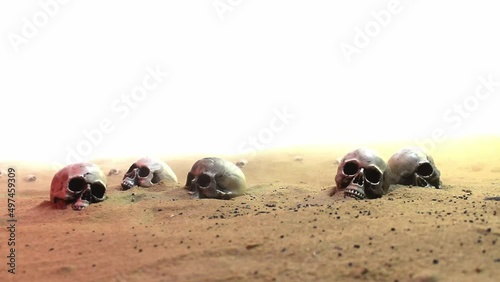 Field of Skulls in the Desert