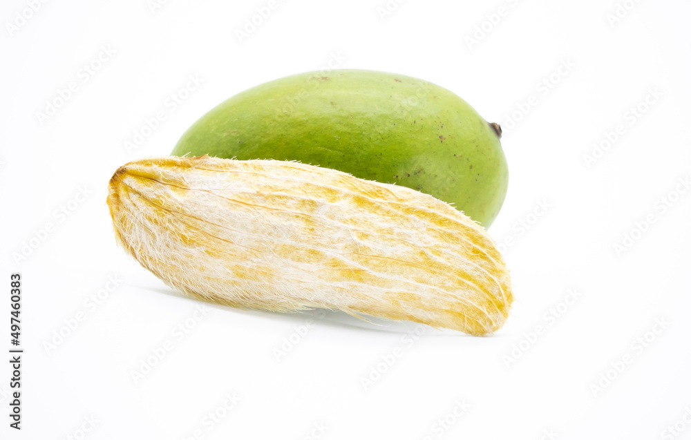 selective focus, mango with mango seeds isloate on white background