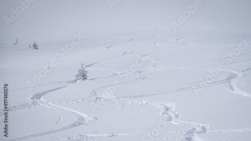 Wallpaper Mural Shapes of ski turns in fresh powder snow Torontodigital.ca