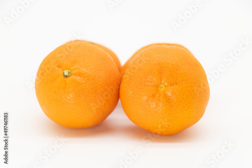 small orange isolated on white background