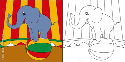Elephant circus show suitable for children's coloring page vector illustration