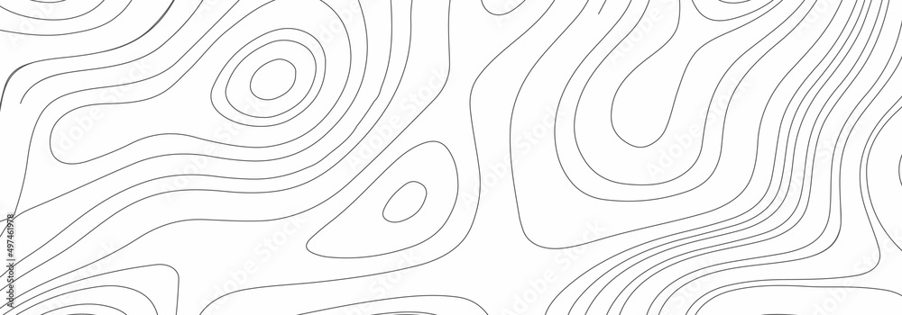 Abstract design with black and white abstract background. The concept of a conditional geography scheme and the terrain path. Wide size. Map on land vector terrain Illustration .