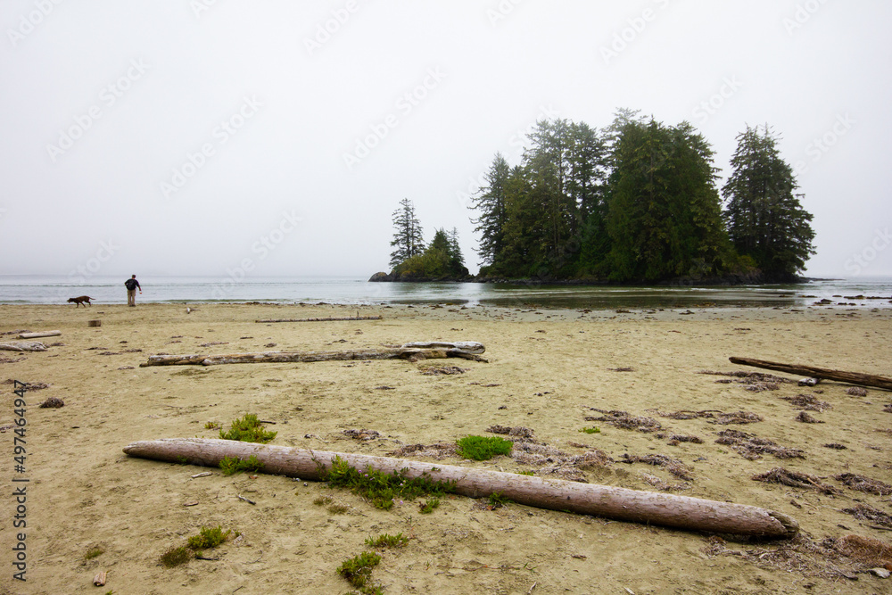 Small island on Long Beach in Tofino, Vancouver Island, Canada Small island on Long Beach in Tofino, Vancouver Island, Canada