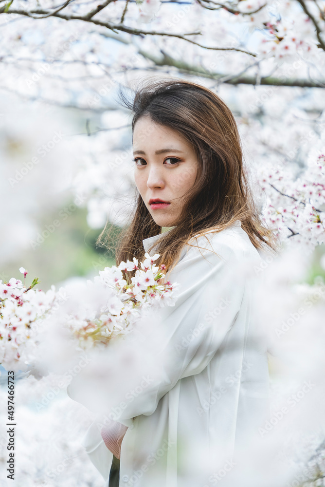 桜の花を見ながら散策する女性