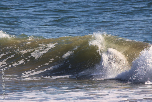 Surfing Rincon cove in California