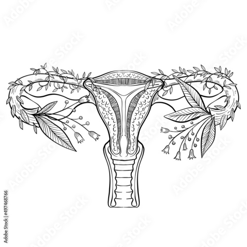 linear drawing silhouette female organ uterus with flowers black and white