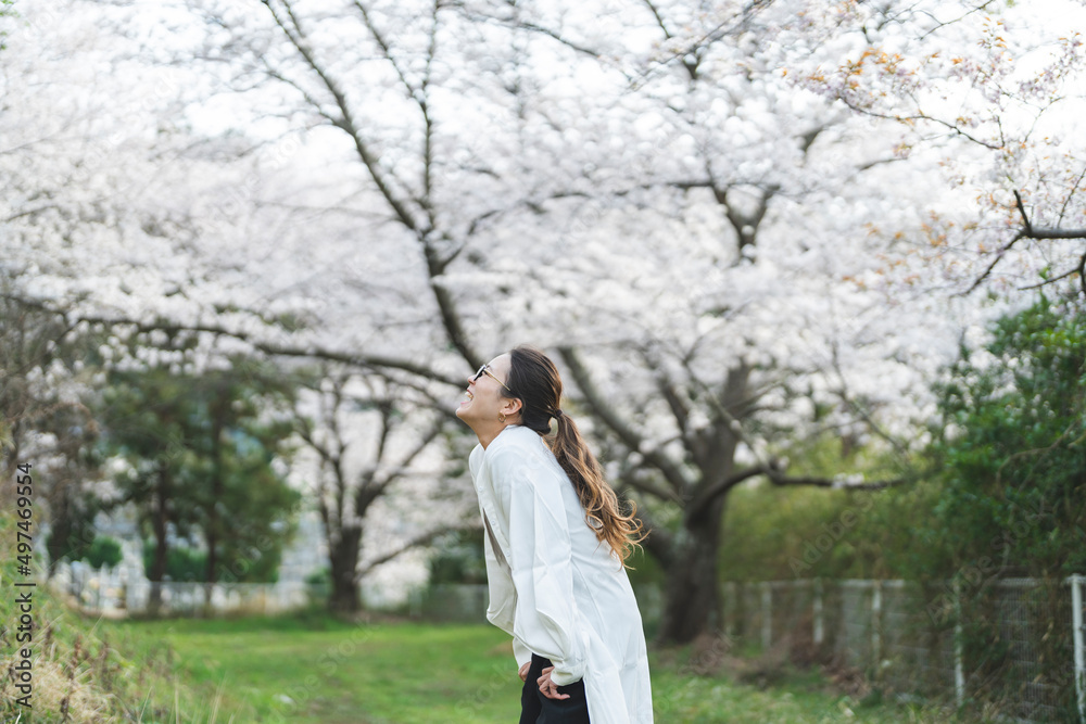 桜の花を見る眼鏡をかけた女性