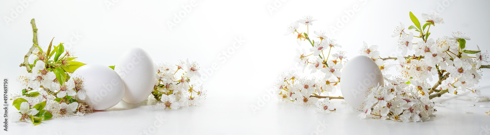 White Easter eggs and wild cherry flower branches on a bright background in wide panoramic banner format, seasonal holiday and spring arrangement, copy space, selected focus