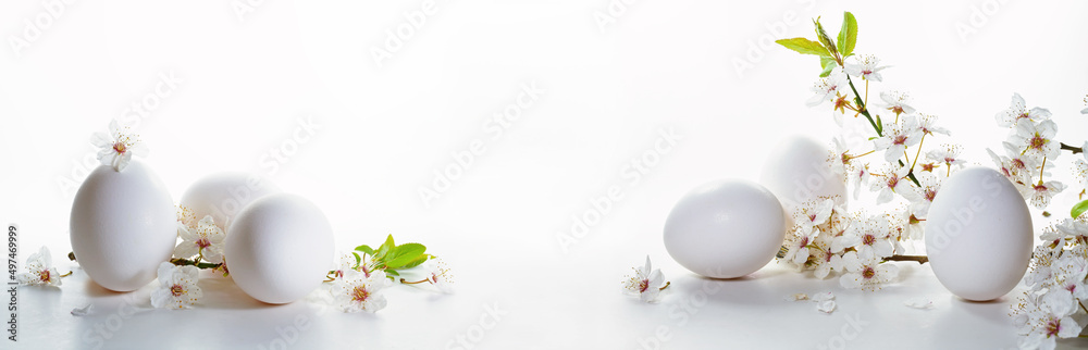 Easter arrangement with white eggs and wild plum flower branches on a bright background in wide panoramic banner format, holiday and spring concept, copy space, selected focus,