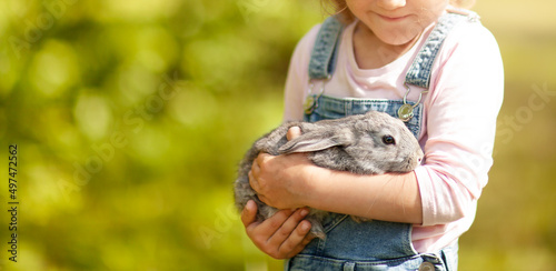 the rabbit pressed his ears in the hands of a little girl
