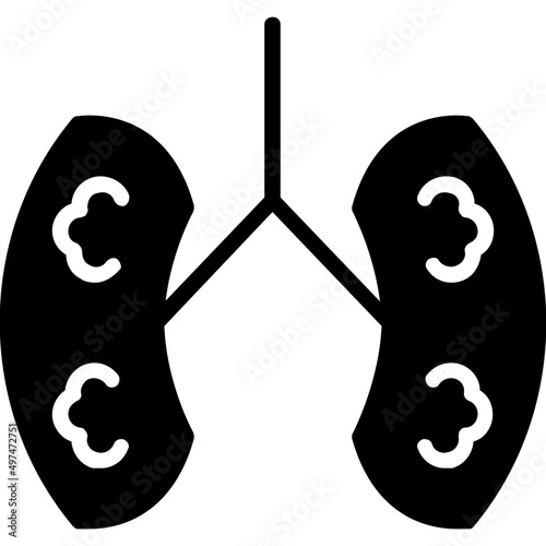 Kidneys Icon