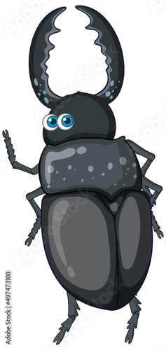A beetle cartoon character isolated