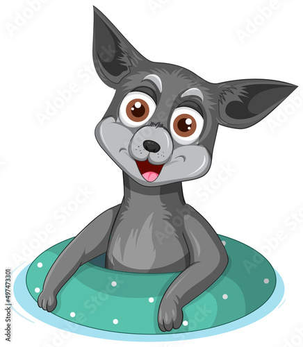 A Happy dog with rubber ring on white background