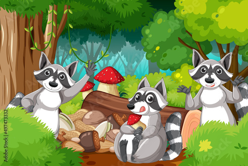 Three raccoons in the forest