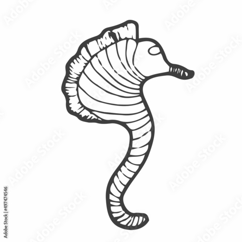 Seahorse - an inhabitant of the ocean - vector linear picture for coloring. Fish seahorse - underwater life for a coloring book. Outline. Hand drawing.