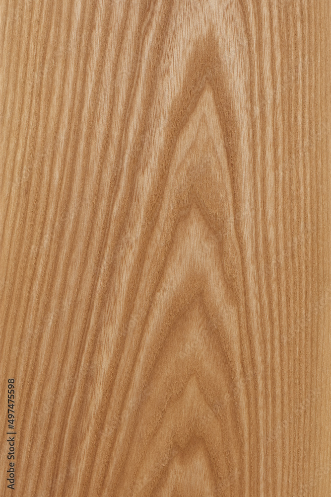 Closeup light beige wood texture. Closeup light beige wood texture.