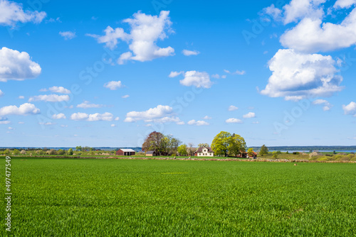 Green field with a farm in the countryside